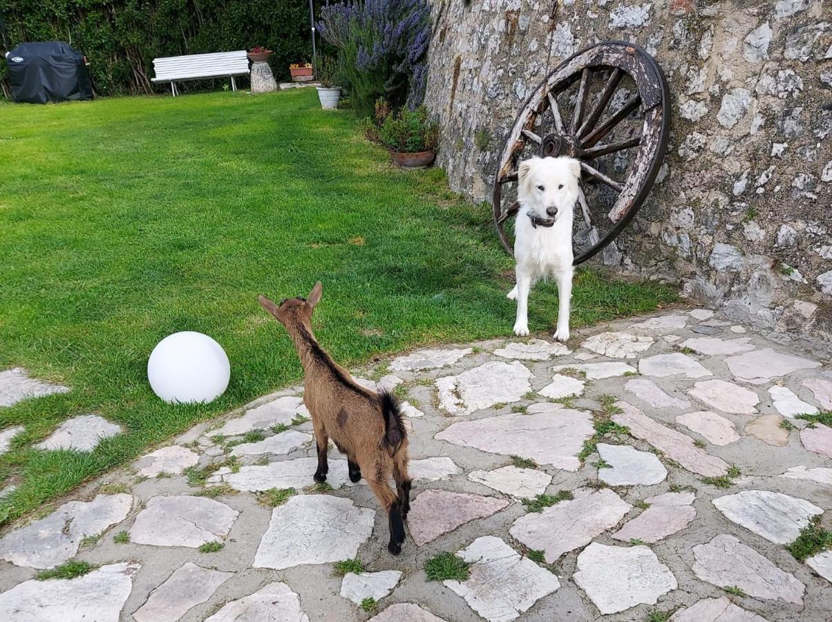 Agriturismo Campagna In Compagnia Vallo di Nera Εξωτερικό φωτογραφία
