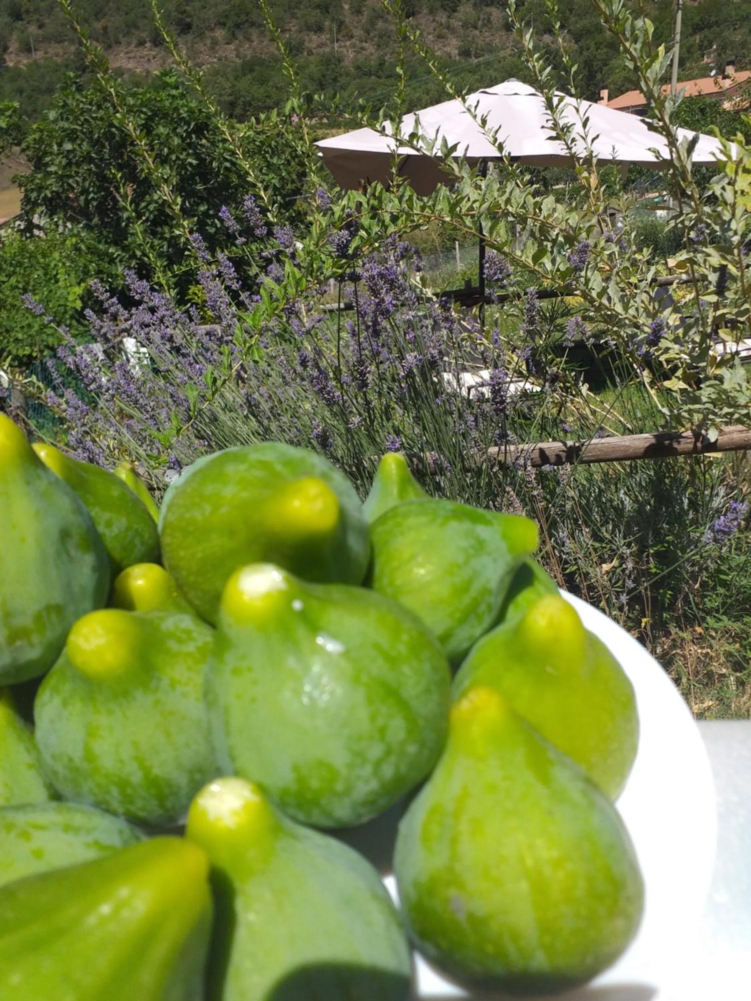 Agriturismo Campagna In Compagnia Vallo di Nera Εξωτερικό φωτογραφία