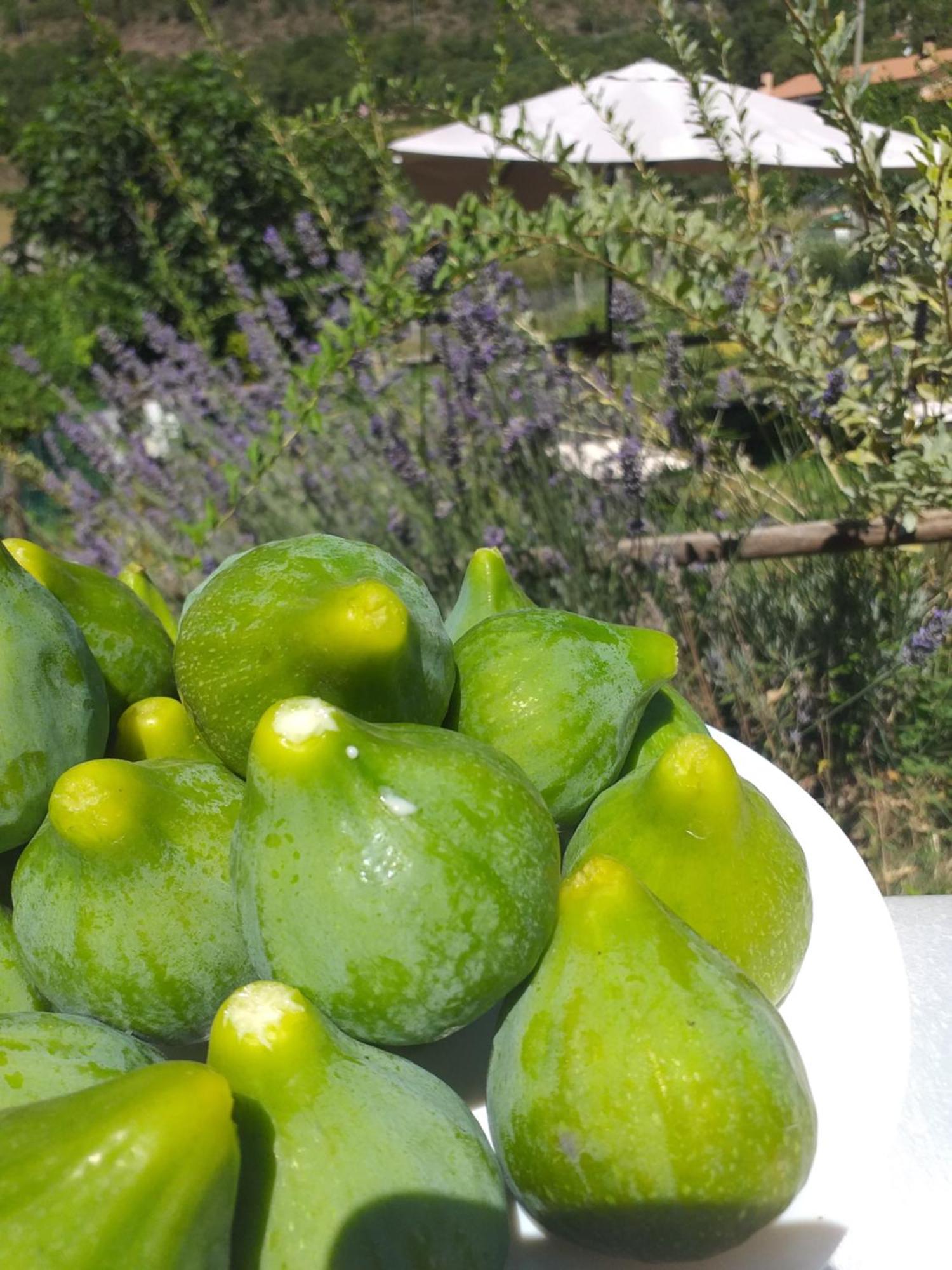 Agriturismo Campagna In Compagnia Vallo di Nera Εξωτερικό φωτογραφία