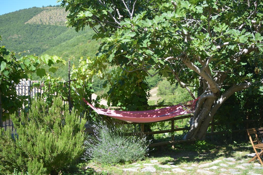 Agriturismo Campagna In Compagnia Vallo di Nera Εξωτερικό φωτογραφία