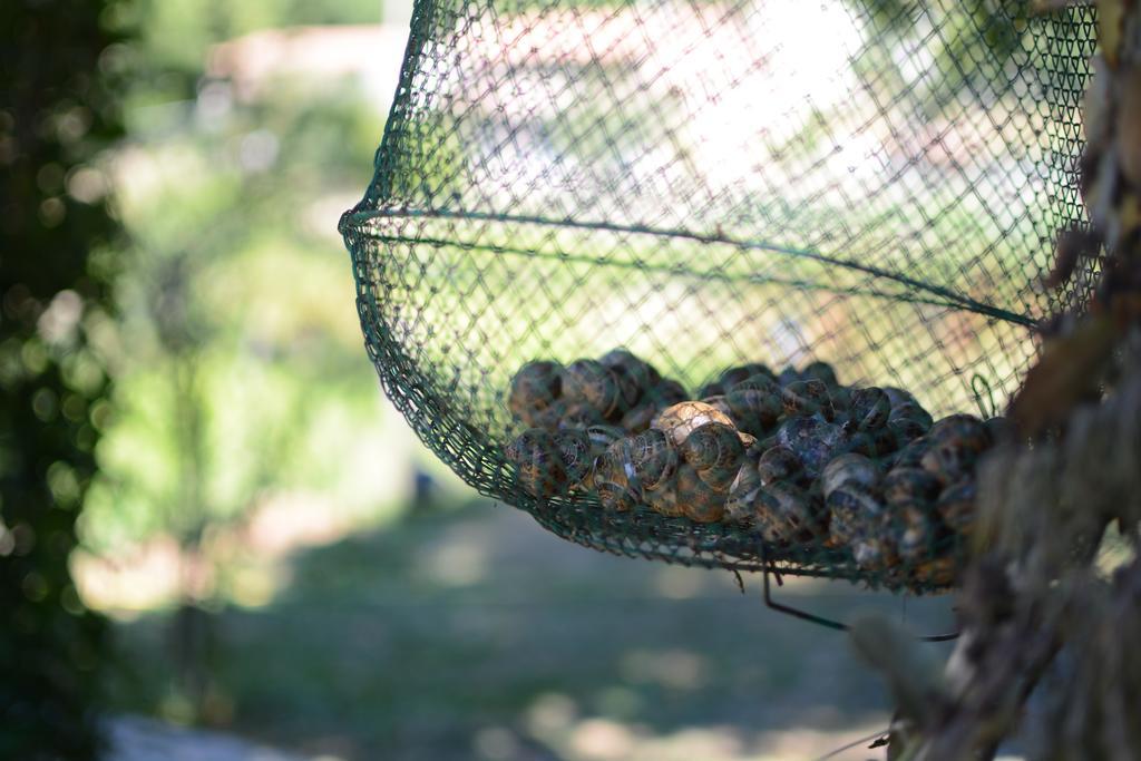 Agriturismo Campagna In Compagnia Vallo di Nera Εξωτερικό φωτογραφία