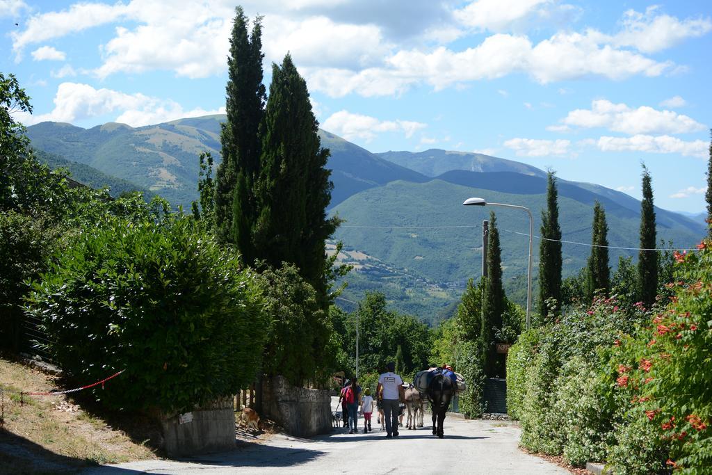 Agriturismo Campagna In Compagnia Vallo di Nera Εξωτερικό φωτογραφία