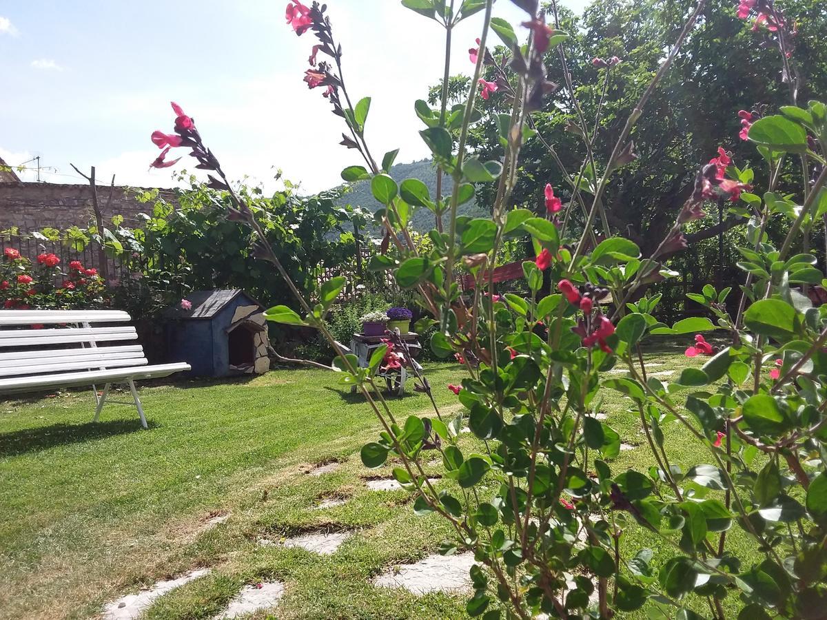 Agriturismo Campagna In Compagnia Vallo di Nera Εξωτερικό φωτογραφία