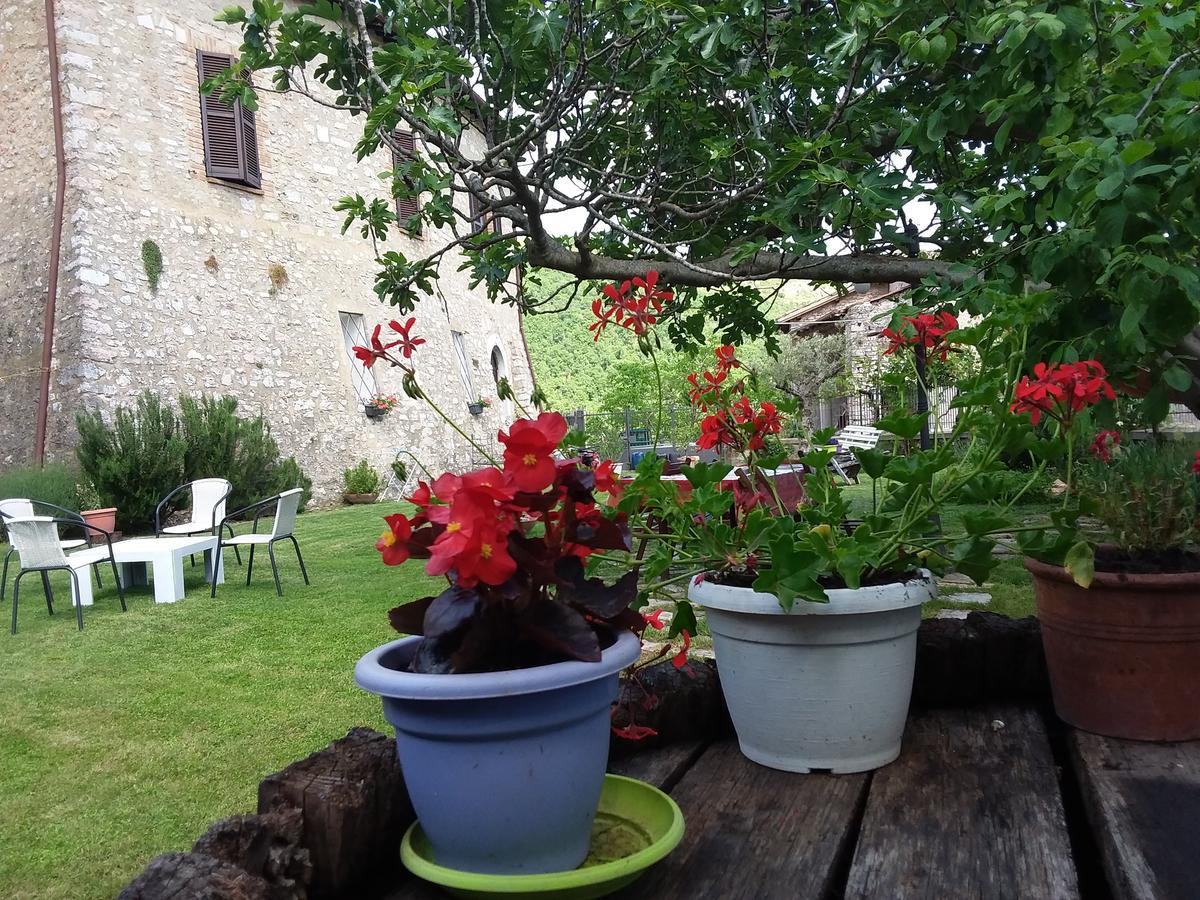 Agriturismo Campagna In Compagnia Vallo di Nera Εξωτερικό φωτογραφία
